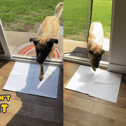 Muddy Mat® 3D Quick-Dry Door Mat™