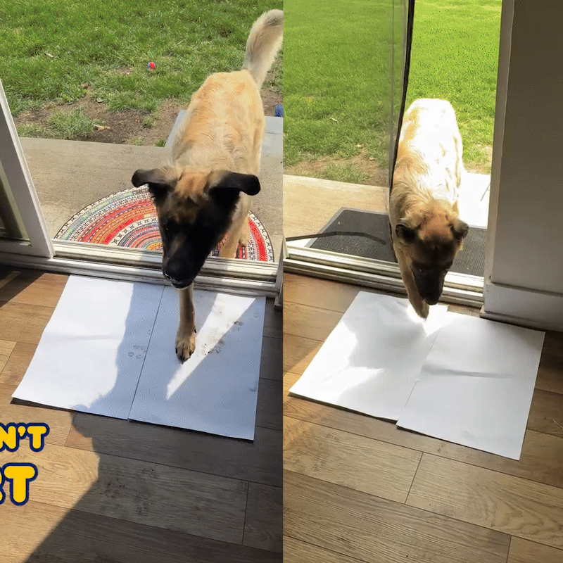 Muddy Mat® 3D Quick-Dry Door Mat™